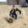 Дима, 31, г.Богородск Дима, 31, г.Богородск