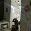 Даша, 20, г.Бердичев Даша, 20, г.Бердичев