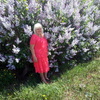 Светлана, 65, г.Добруш Светлана, 65, г.Добруш