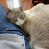 Иван, 30, г.Намибе Иван, 30, г.Намибе