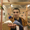 Андрей, 24, г.Реутов Андрей, 24, г.Реутов