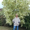 Галина, 57, г.Невель Галина, 57, г.Невель