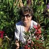 Татьяна, 59, г.Приморско-Ахтарск Татьяна, 59, г.Приморско-Ахтарск