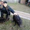 Дмитрий, 36, г.Малин Дмитрий, 36, г.Малин